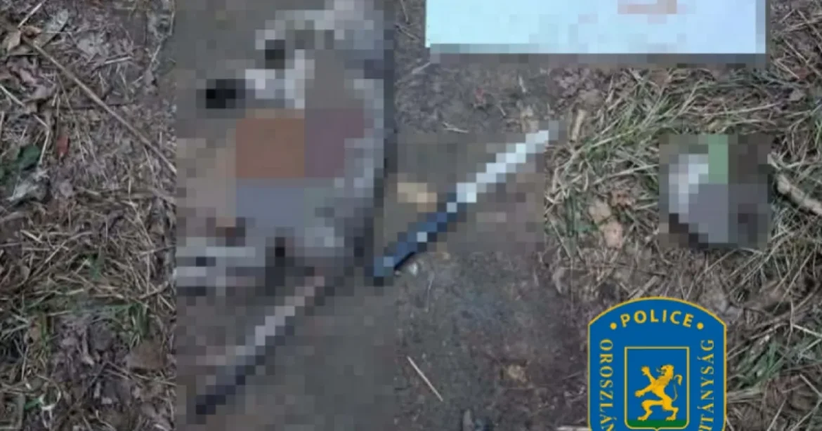 14 éves fiú nagykéssel ölt meg egy macskát, online csoporttól vette a példát