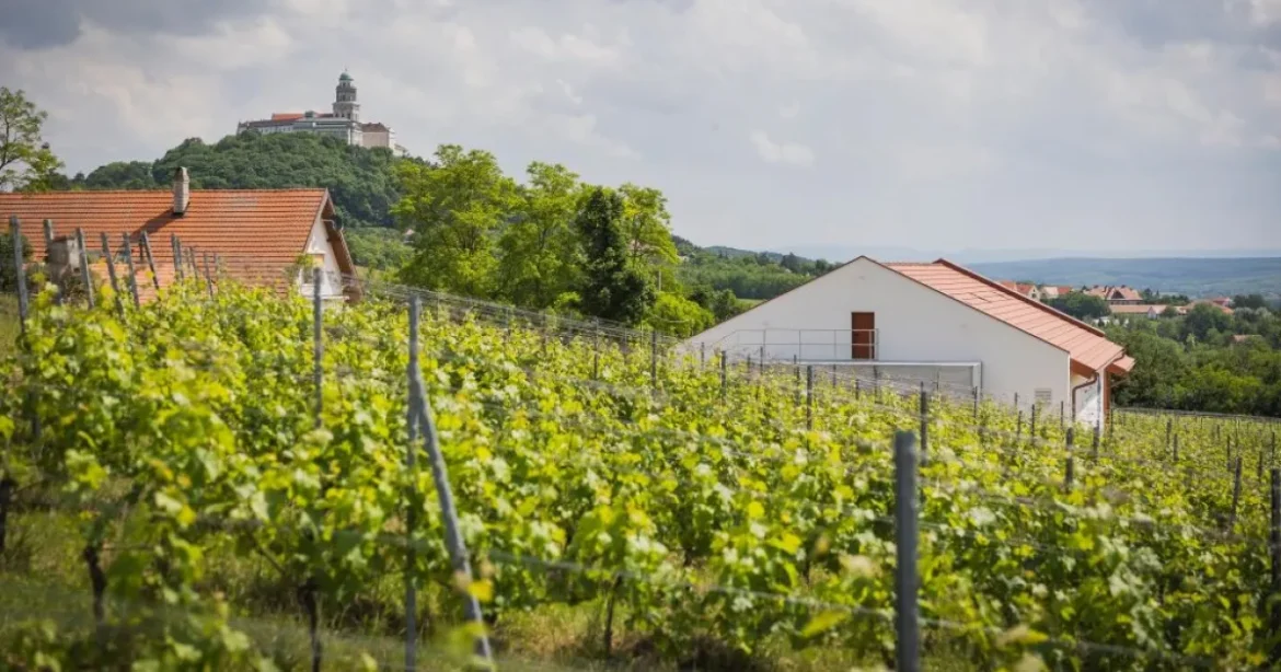 2026-ban ezek az ország legszebb szőlőbirtokai