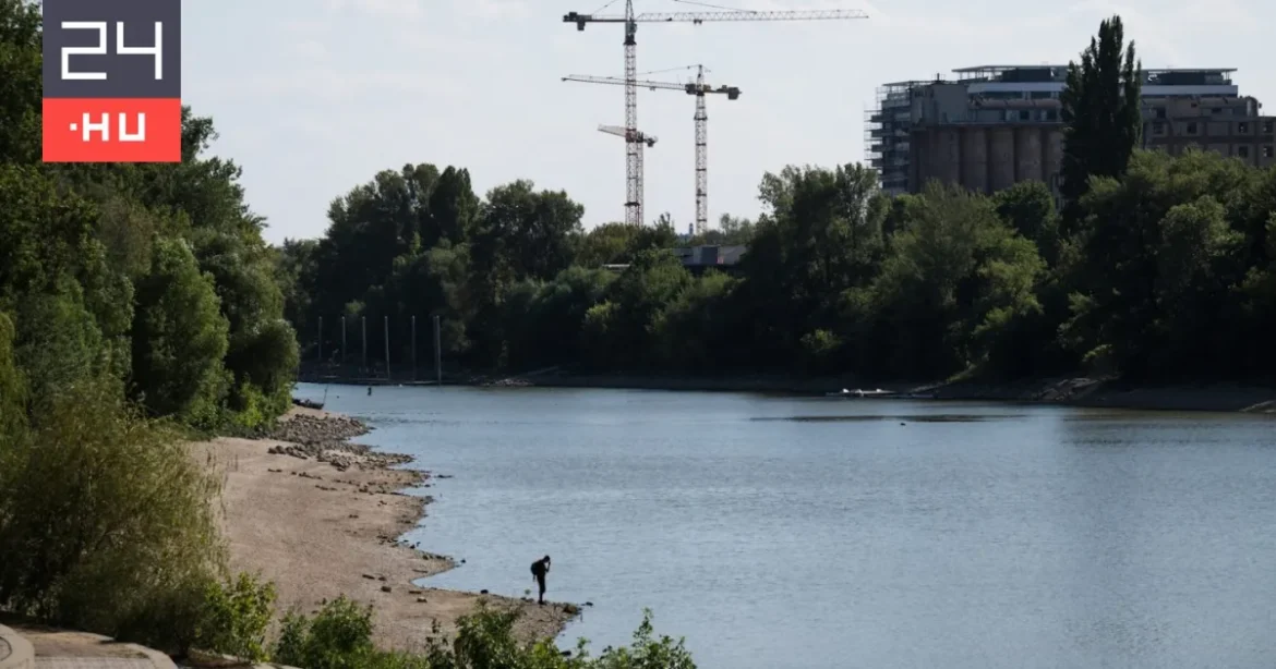 A Dunába menekült a rendőrök elől egy autós, de nem tudott úszni