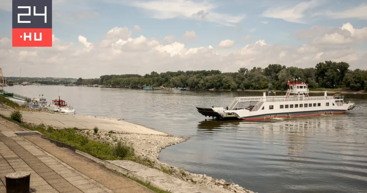 Afrikai sertéspestis jelent meg Baranya két vaddisznójában