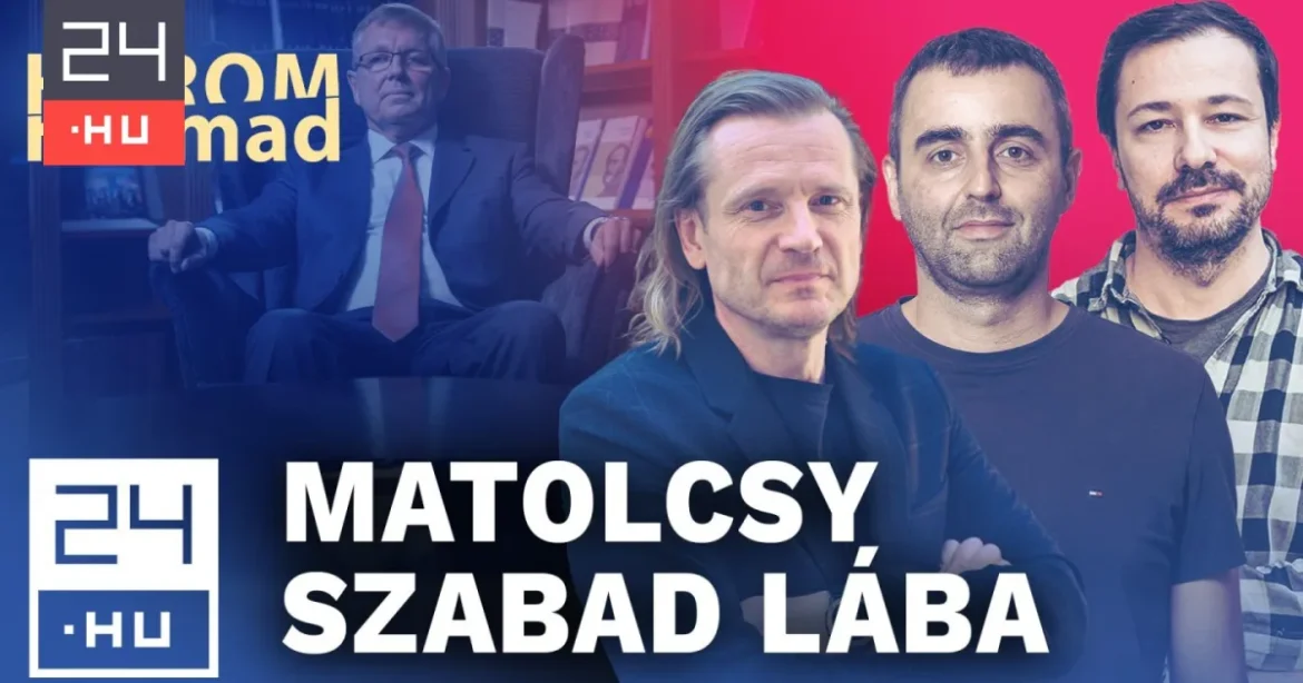 Mely ügyekben lehet felelősségre vonni a NER-eseket?
