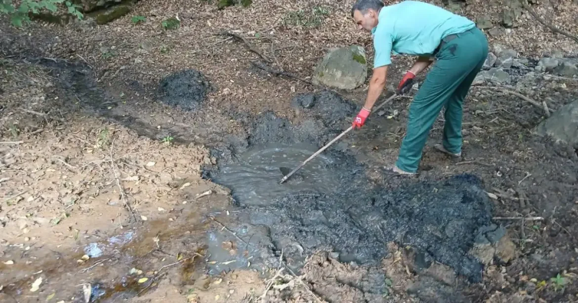 Mesterséges tóval óvják a Cserhát rákállományát