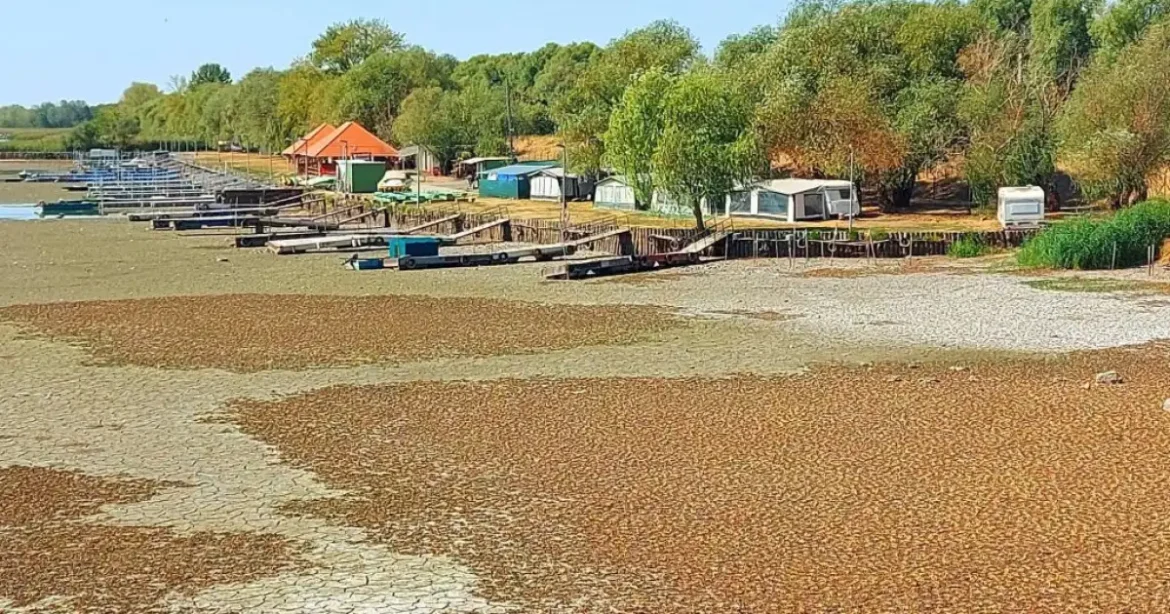 Nyári aszály sújtotta Tisza-tó döbbenetes képe