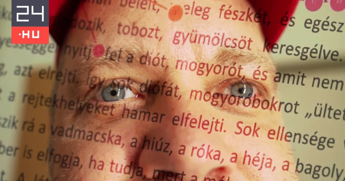 Olvasási nehézség: van megoldás – Katz Dávid is kivizsgáltatta magát