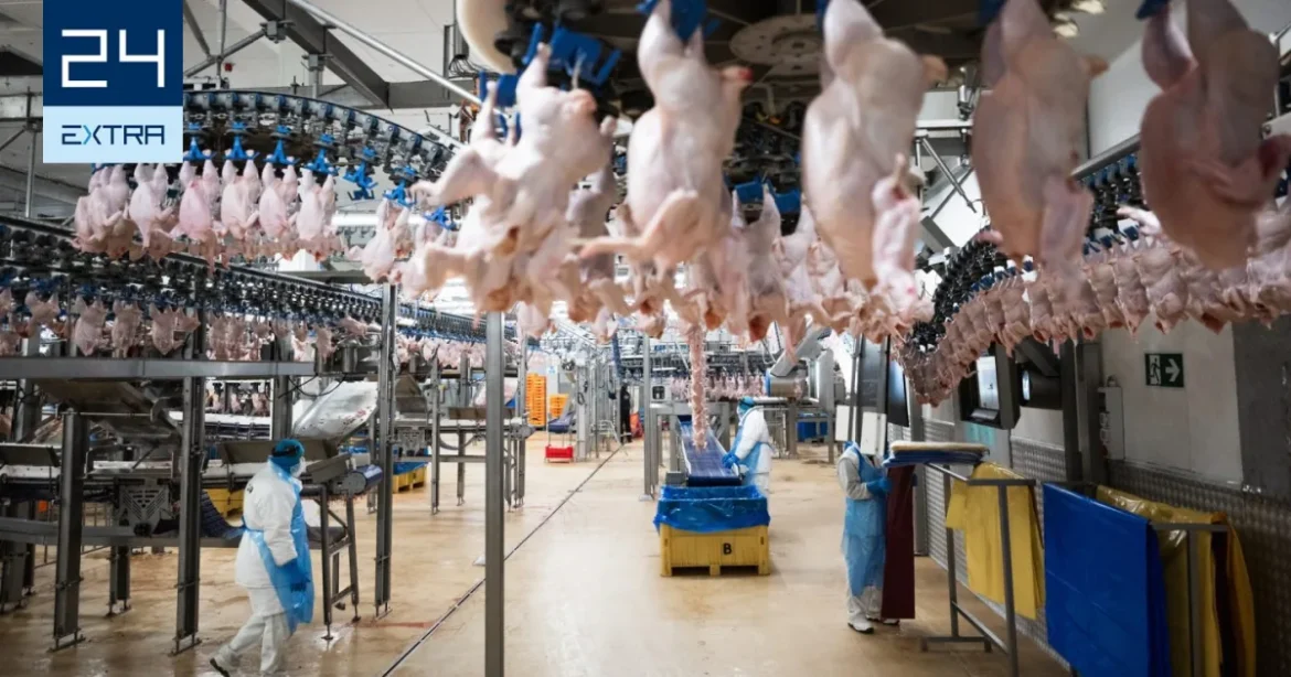 Tényleg szükség van vendégmunkásokra Magyarországon?