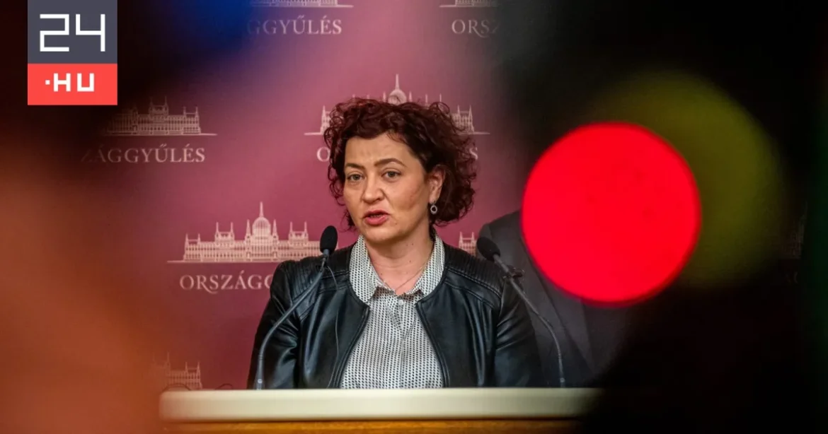 Vadai Ágnes Óbudán, Gréczy Zsolt Újbudán helyezkedett el a választás után