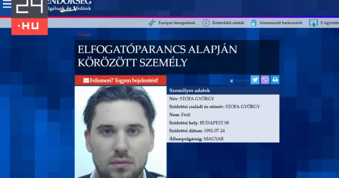 Bezuhant a körözött Stofa György bútorcégének bevétele