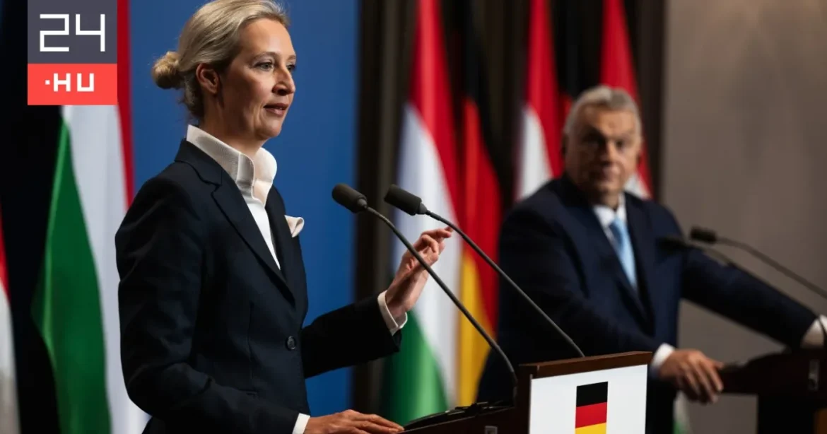 Feltörték az AfD e-mailjeit, kínos helyzetbe került Weidel