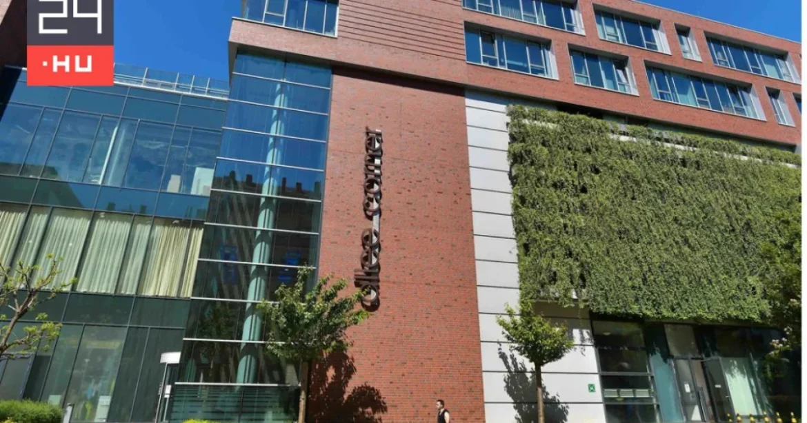 GrandVision és EssilorLuxottica az Allee Cornert választotta magyarországi központjául