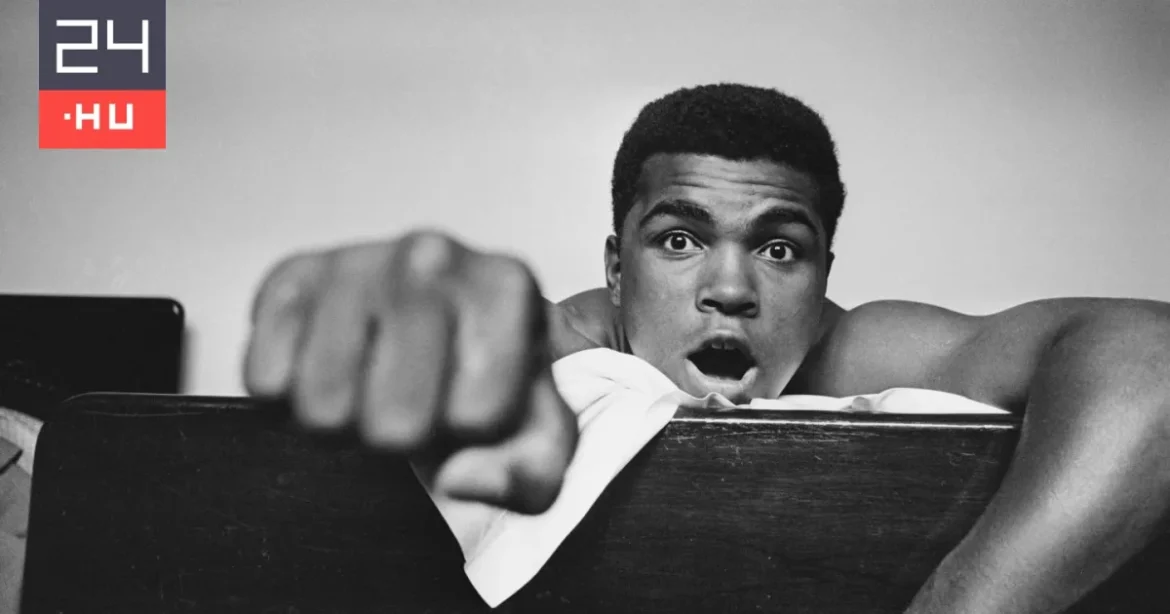 Így halt meg Muhammad Ali, a bokszlegenda