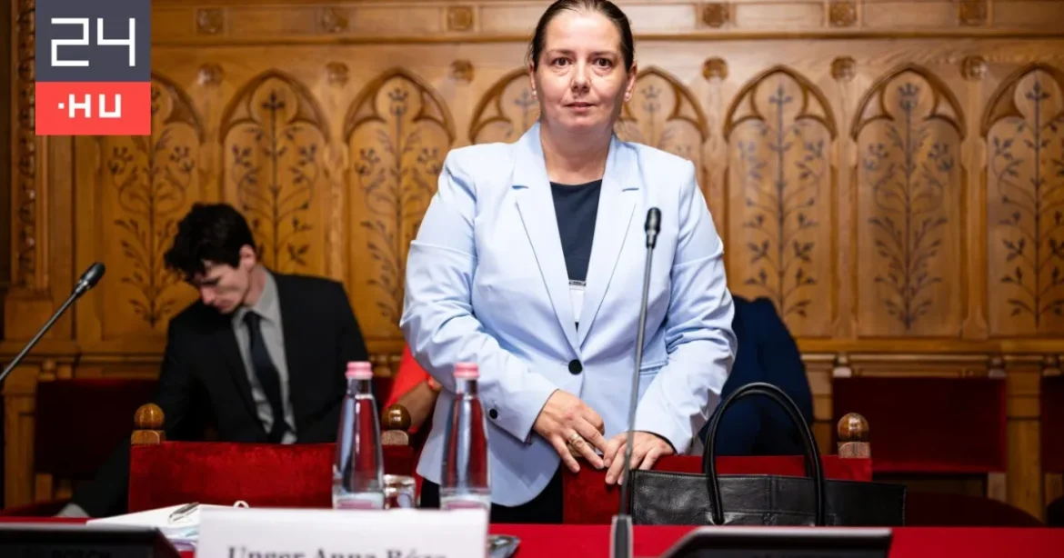 Ma kiderülhet, kik lesznek az NVVH további elnökhelyettesei