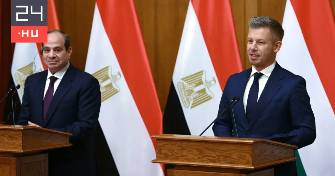 Magyar Péter az egyiptomi elnökkel tárgyalt, a gazdasági lehetőségeket emelték ki