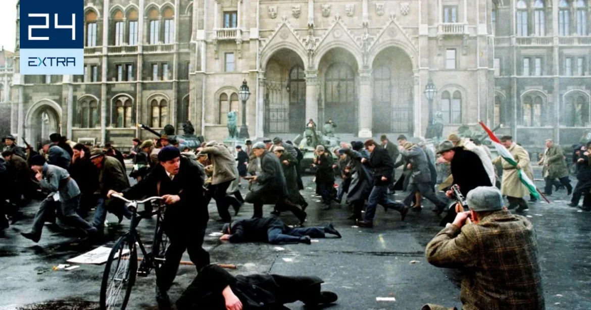 Melyik a legjobb 1956-os film: szerelmi sztori, Bereményi, családi akció?