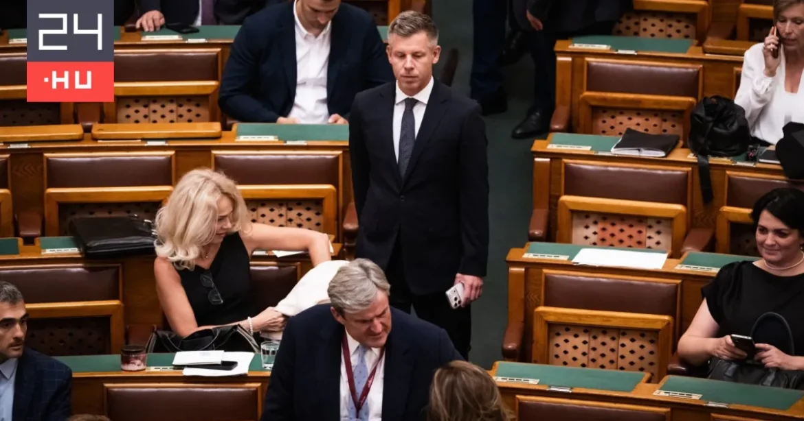Mutatta be Magyar Péter a legfontosabb bejelentéseit