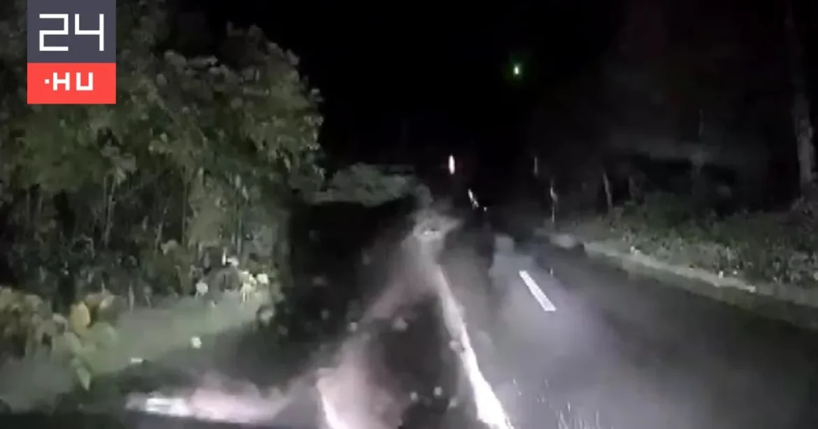 Nekiállt szétszedni a kocsit az anyamedve