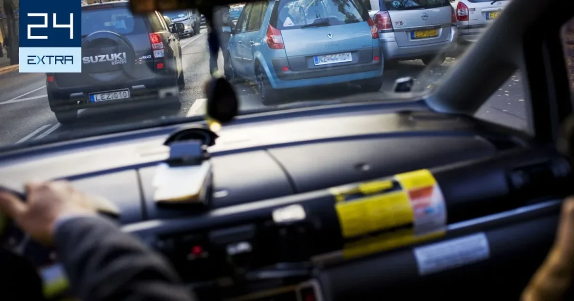 Nem csaltam, csak borravalót kaptam – vallott a hiéna taxizással lebukó 46 éves nagymama
