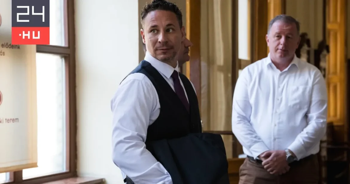 Parlament: a volt végrehajtó nyilatkozott Schadlék ügyében