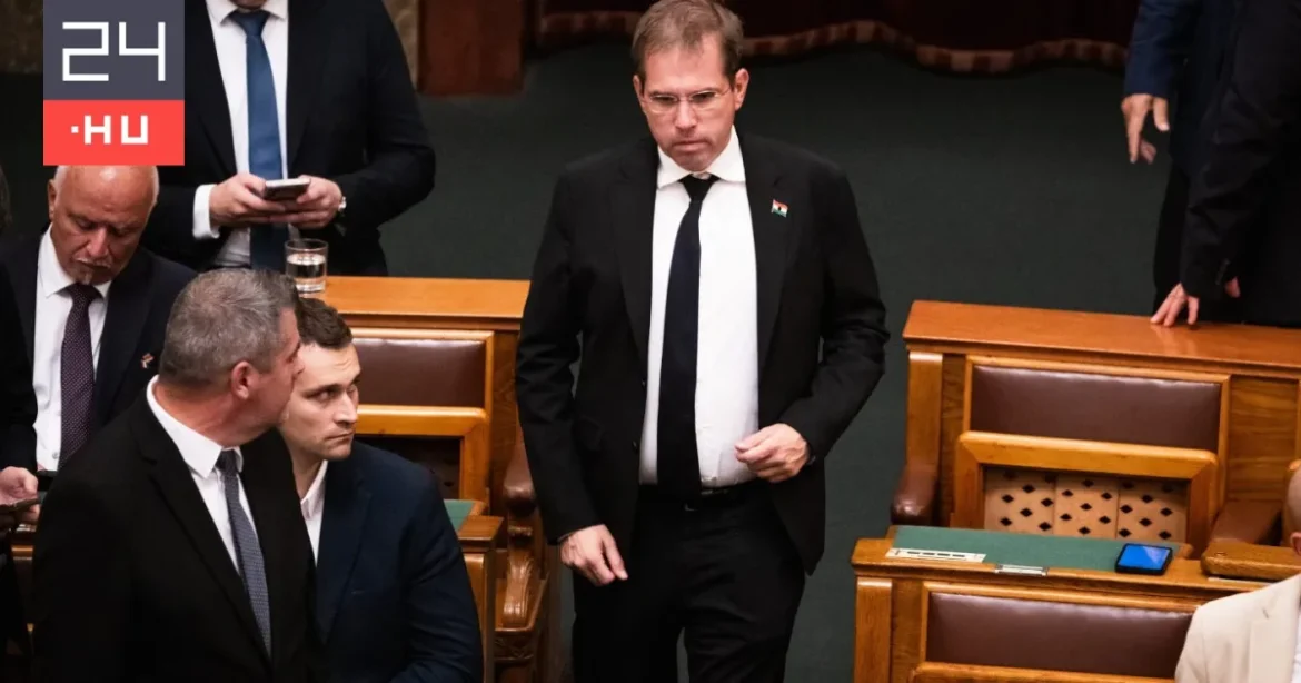 Ruff Bálint szeretné beismerni, ha esetleg hülye volna