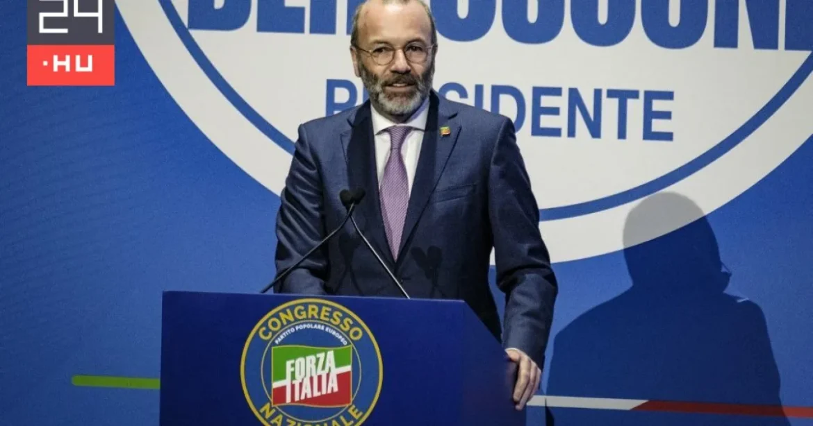 Tiszás alelnök az Európai Néppárt EP-frakciójában