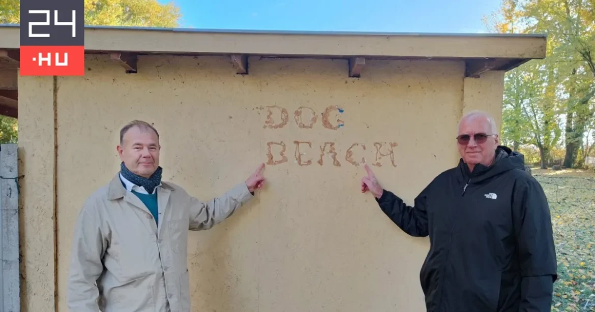 Ügyészségi vizsgálat a keszthelyi kutyás strand szerződése miatt
