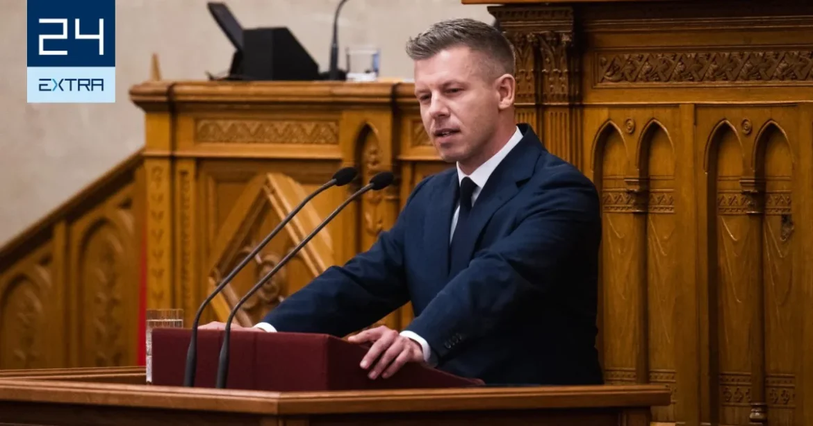 Vida Kamilla szerint Pócs János nyilvánvalóan nem drogozik, állítja a celeb